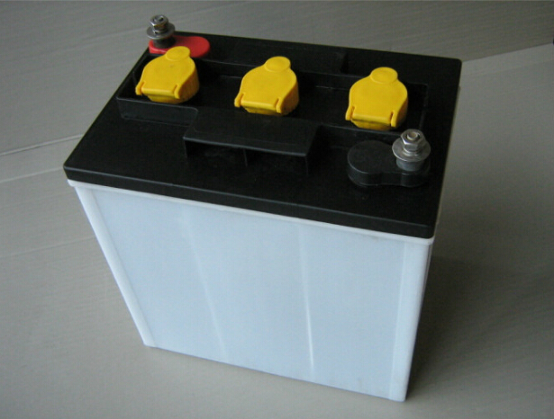 Battery for electric sightseeing vehicle
